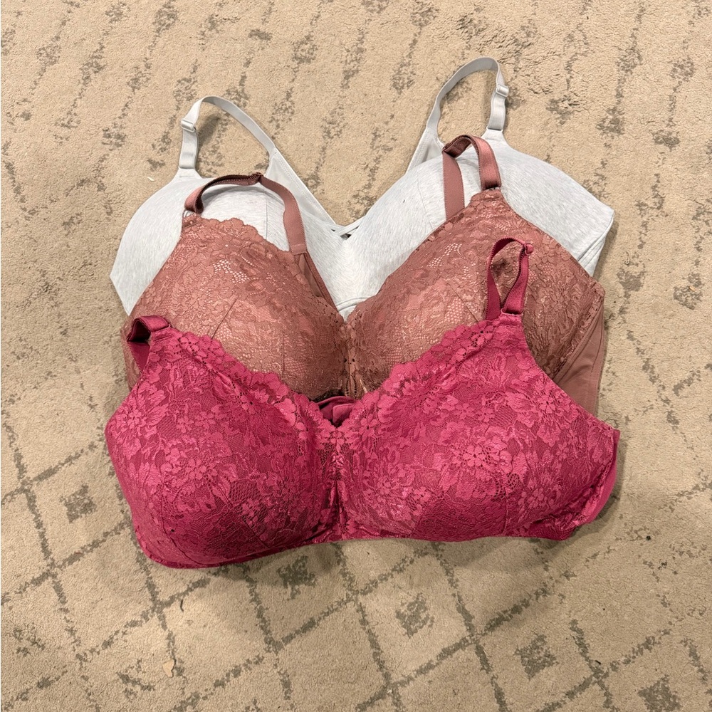 torrid Lace Wireless Bra Trio - Raspberry, Rose, Taupe